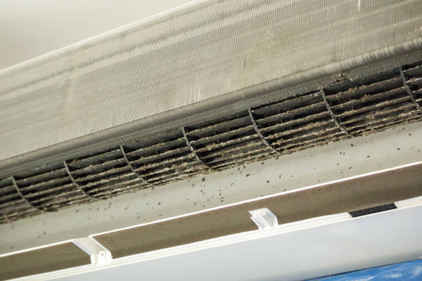 Best HVAC System Cleaning  in Jarrell, TX